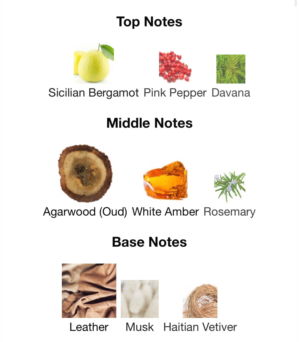 KELARDASHT – Unisex Eau de Parfum (100ML) - IRAN MADE